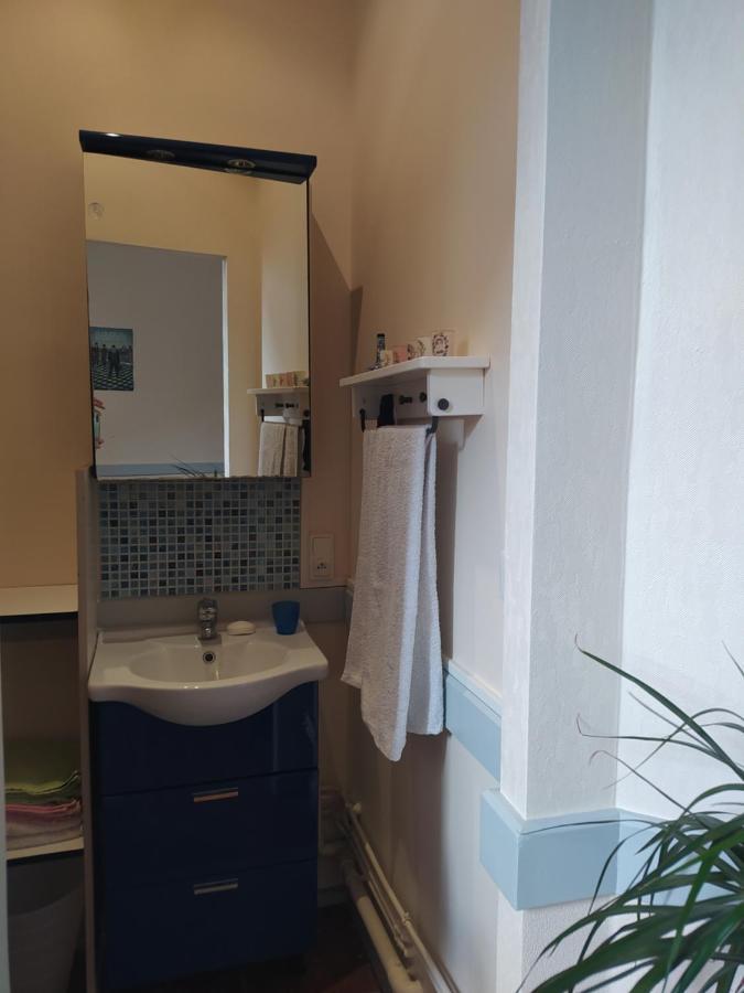 Chambre Dans Appartement De Caractere Dole Dış mekan fotoğraf